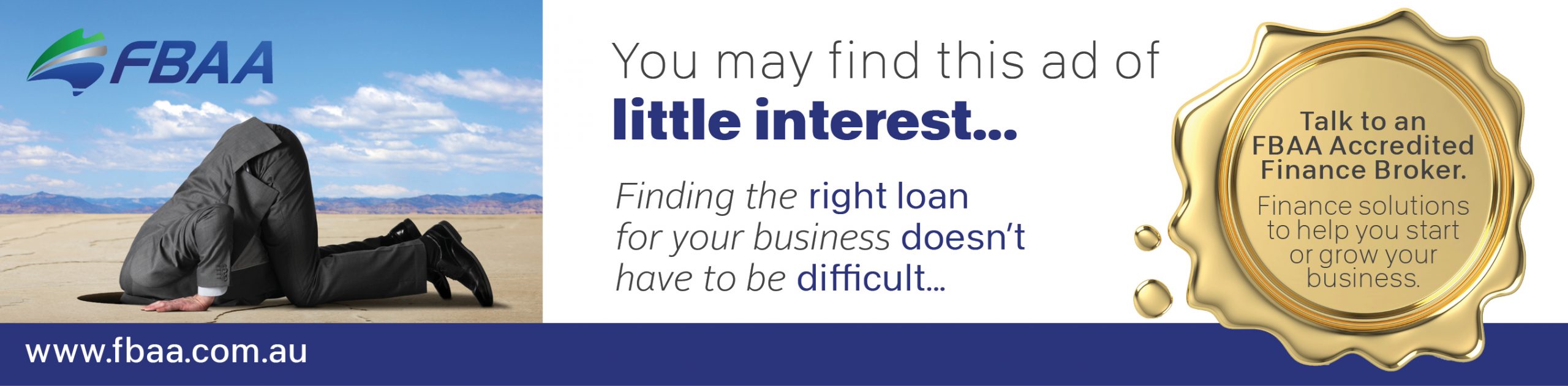 FBAA LITTLE INTEREST 160 X 650