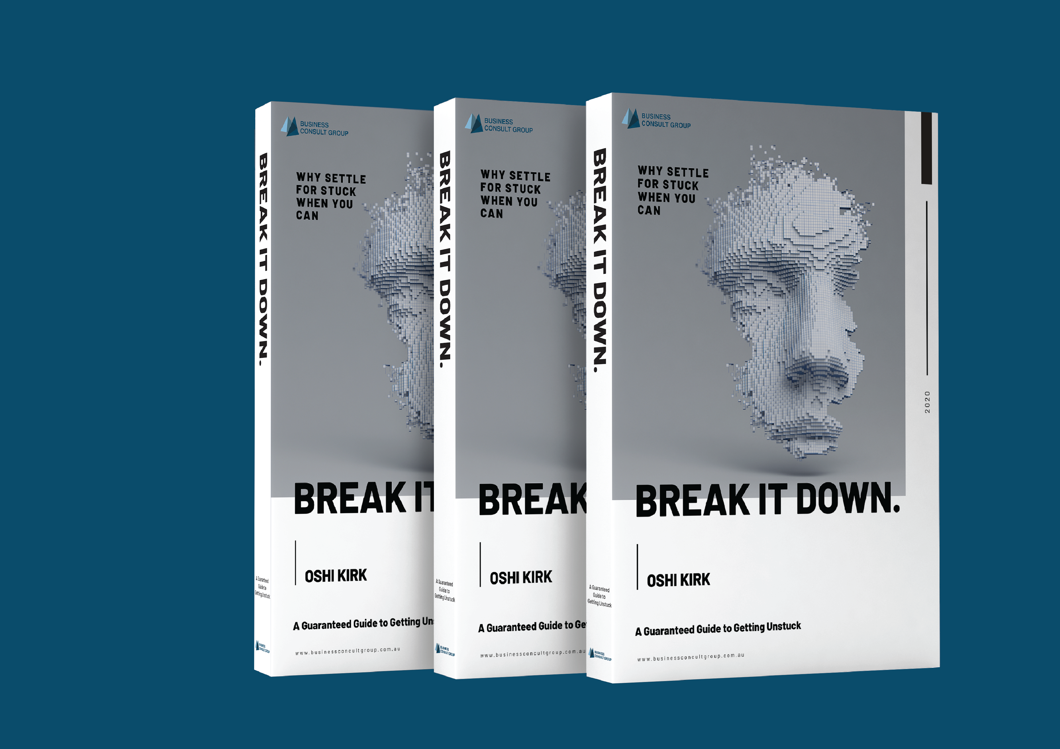 ebook graphic Bus Consultant